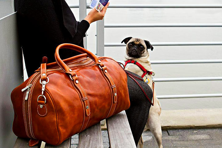 ������ �������� ����� � �����������